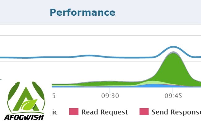 Application Performance